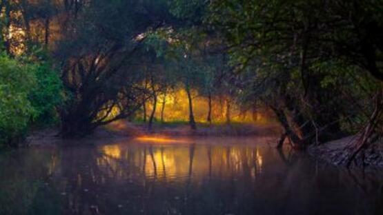 Ảnh HĐ nhân ngày 26 tháng 3 năm 2018